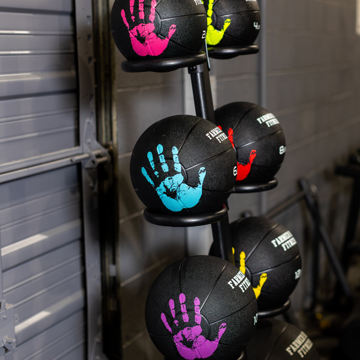 Medicine Ball Rack